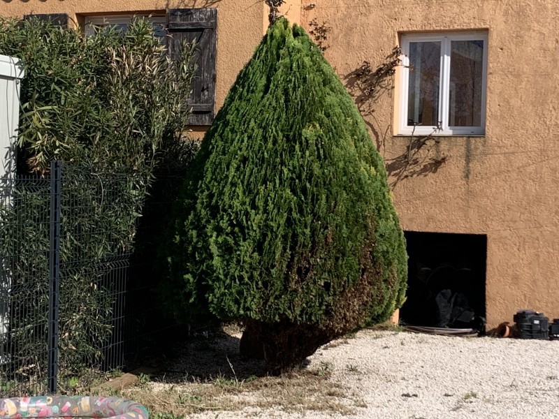 Paysagiste pour service de jardinage et de création de jardins pour les particuliers et pour les professionnels à Saint maximin La Sainte Baume