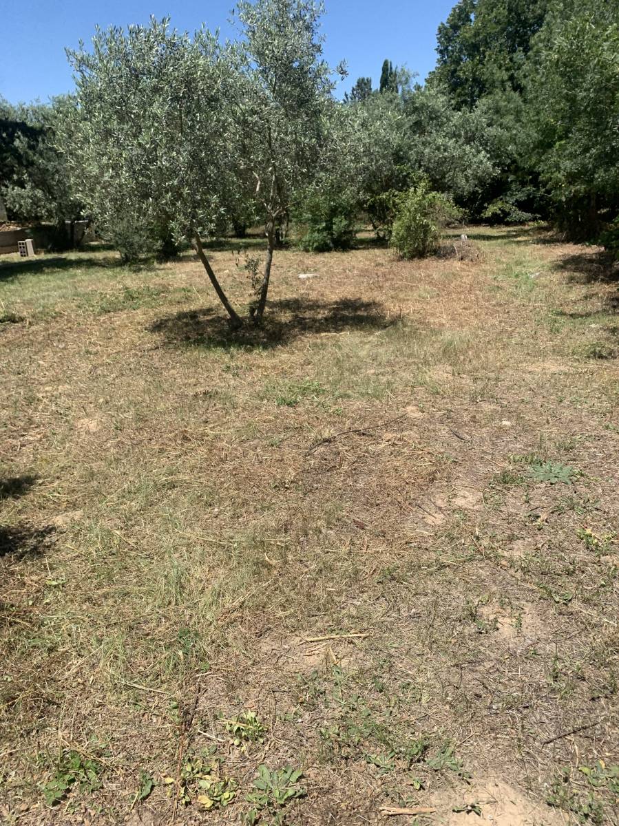 devis debroussaillement urgence aix en provence