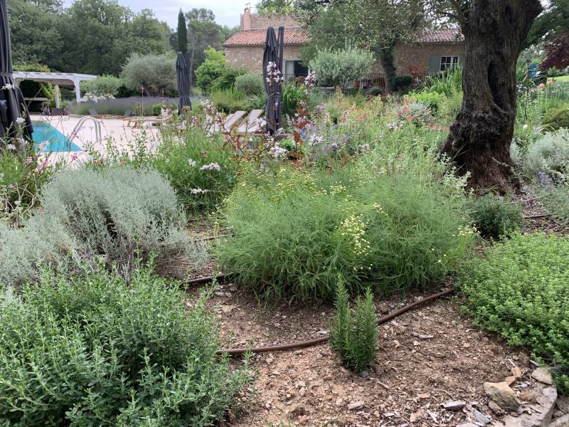 amenagement paysager jardin saint maximin la sainte baume