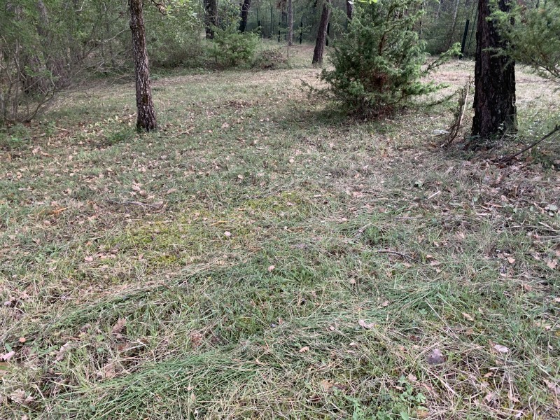 debroussaillage normes incendie saint maximin la sainte beaume